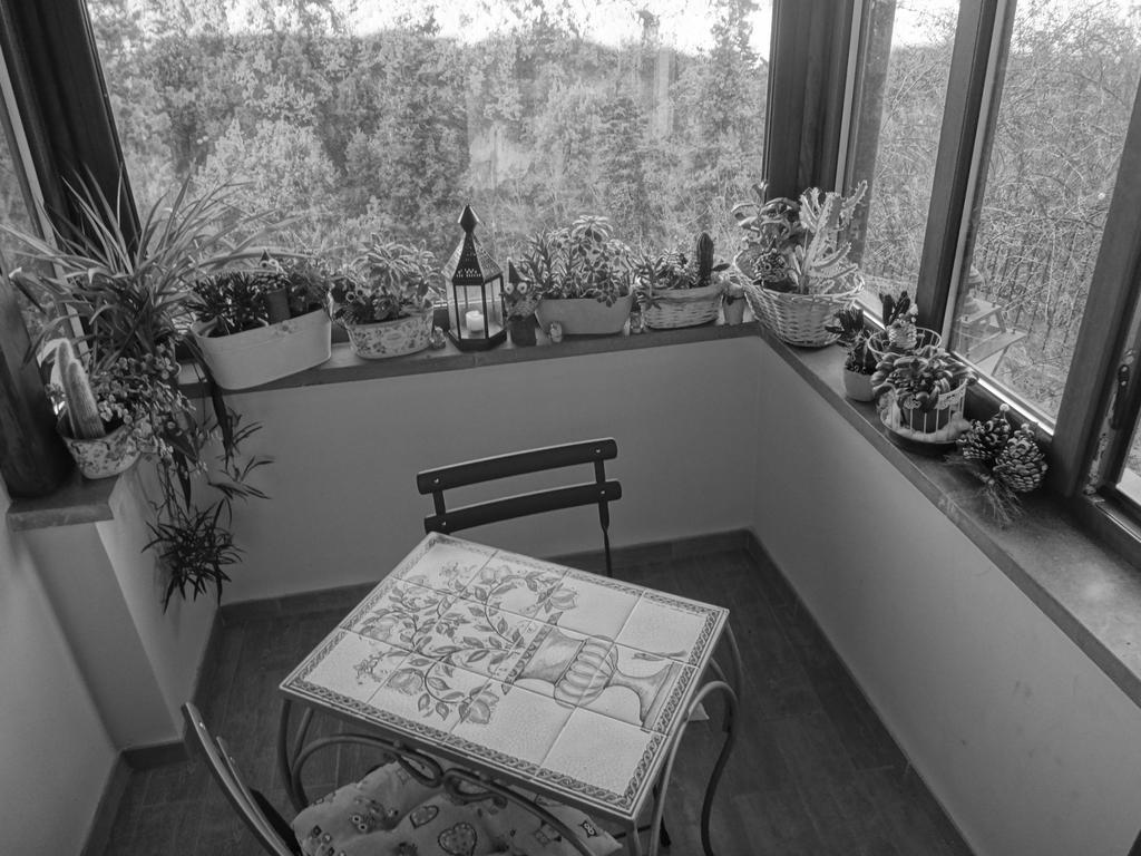 La Casetta Della Nonna Bagnoregio Zimmer foto